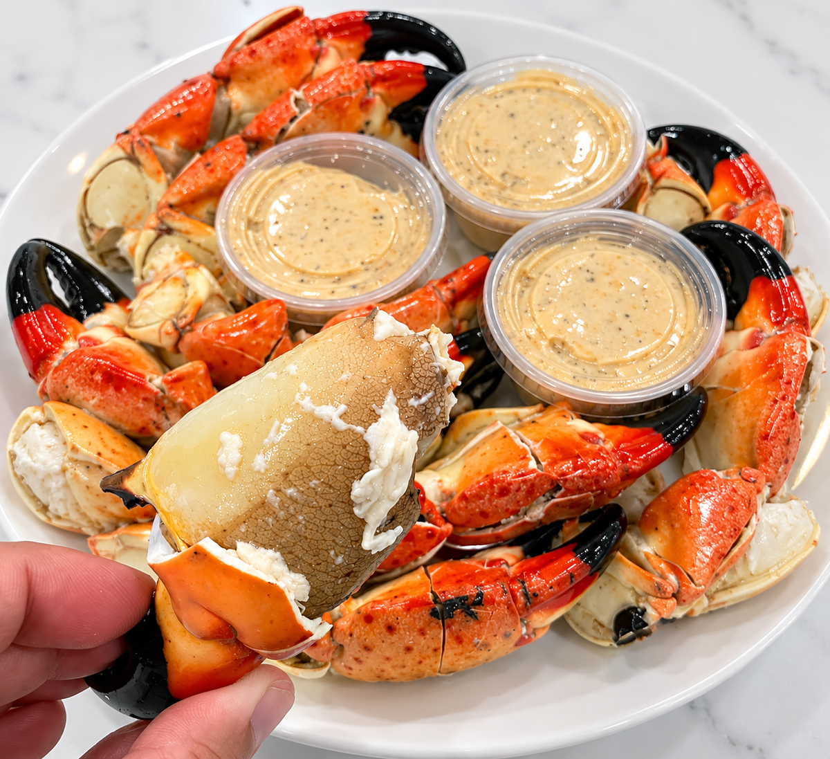 Stone Crabs Large