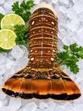 Lobster Tail 10-12oz