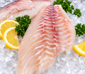 Grouper Fillet 14-16oz/each